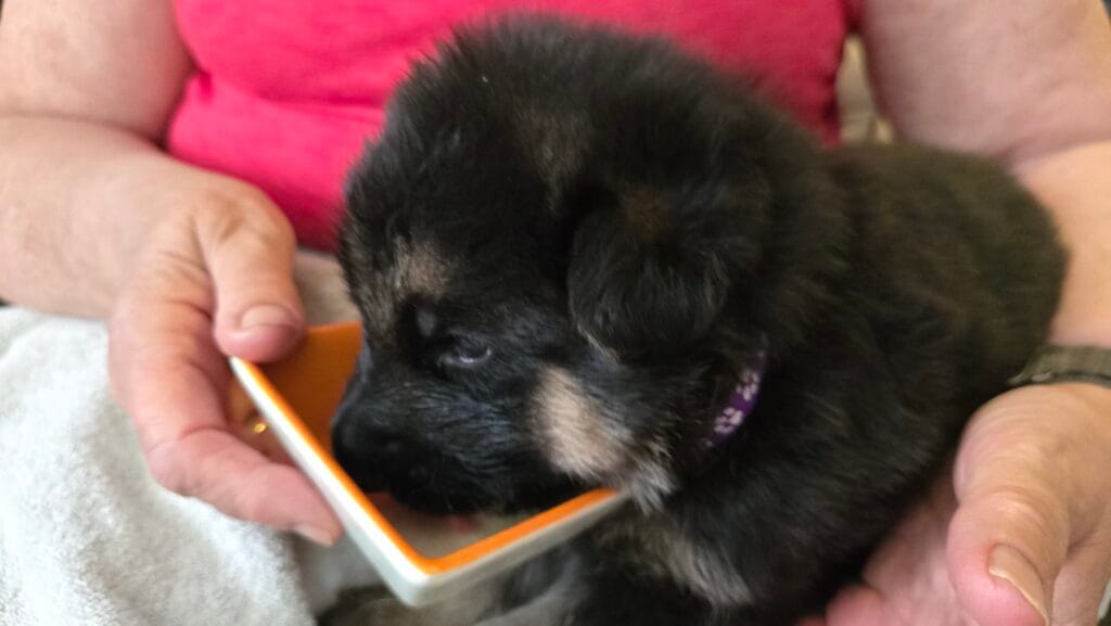 📍 Volg ons nu ook op: 🐾